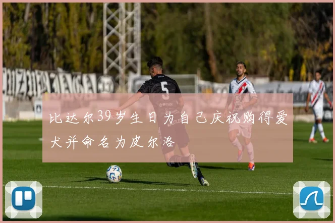 比达尔39岁生日为自己庆祝购得爱犬并命名为皮尔洛